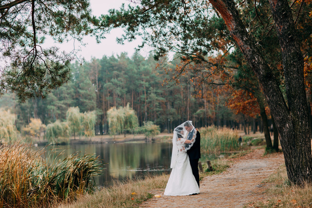 Bride and Groom in the park - Foto, afbeelding