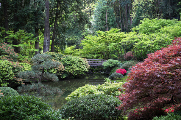 Японський сад
 - Фото, зображення