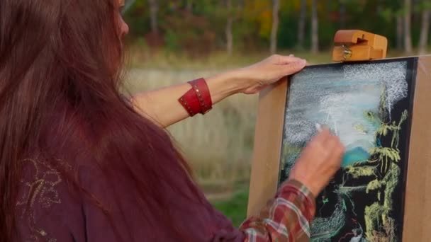 Woman With Long Brown Hair Drawing A Picture At Plein Air - Footage, Video