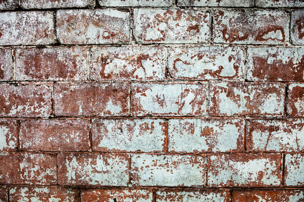 Vieux mur de briques blanchies à la chaux - Photo, image