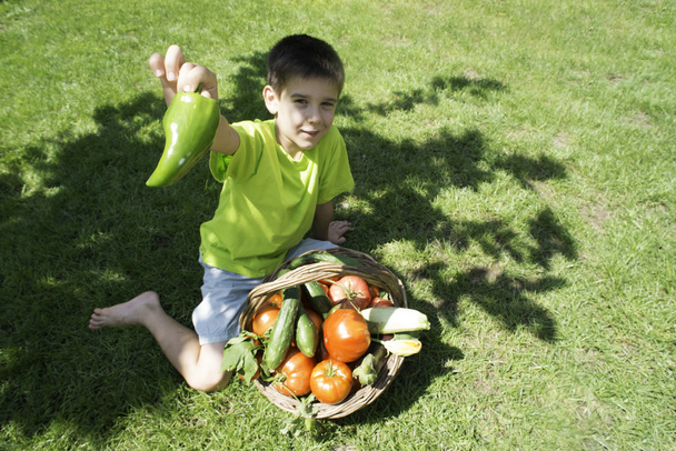 boy and basket with vegetabless - Фото, изображение