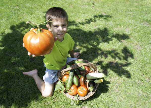 boy and basket with vegetabless - Photo, Image