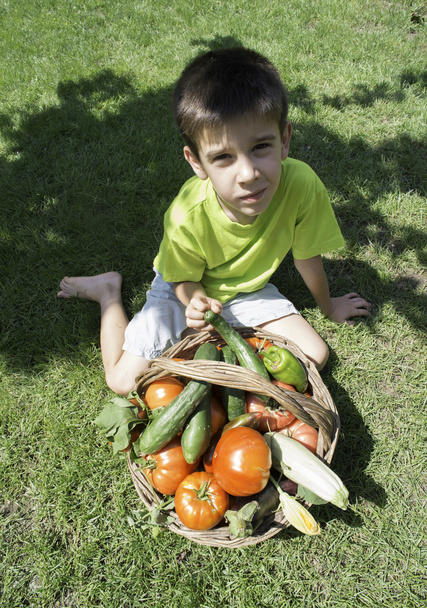 boy and basket with vegetabless - Photo, Image