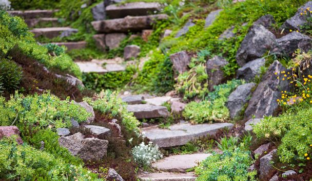 Stony stairs in the green garden - Фото, зображення