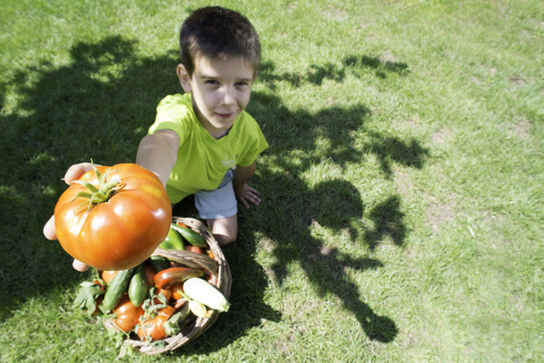 boy and basket with vegetabless - Fotó, kép