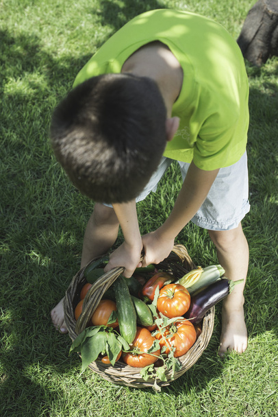 boy and basket with vegetabless - Foto, afbeelding