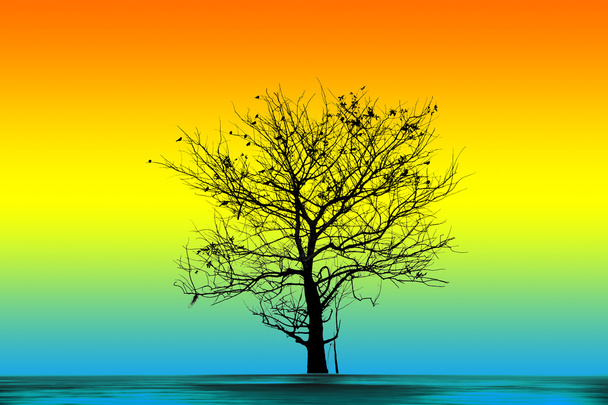 Силуэты мёртвых деревьев
 - Фото, изображение