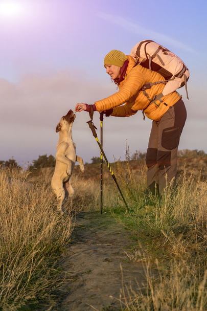 Female hiker and dog on pathway - Foto, Bild