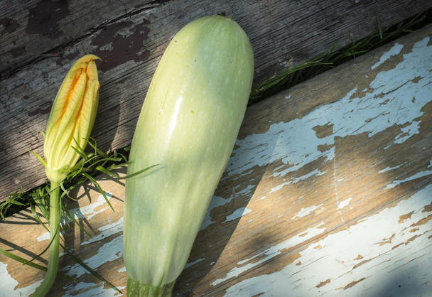 Zucchini and blossom on wood - Foto, imagen