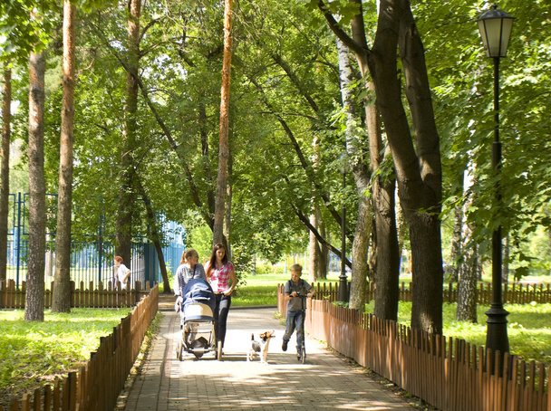 Moscú, parque Cherkizovsky
 - Foto, imagen