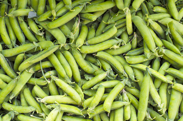 fresh green peas in pods harvested - Photo, Image