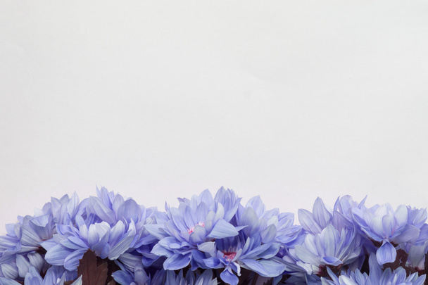 μπλε άνθη διακόσμησης, floral φόντο κενό χώρο για κείμενο - Φωτογραφία, εικόνα
