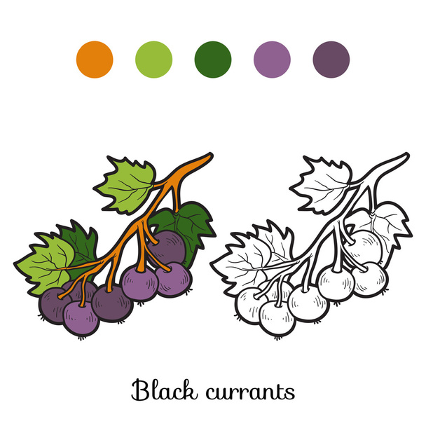 Coloring book: fruits and vegetables (black currants) - Vektör, Görsel