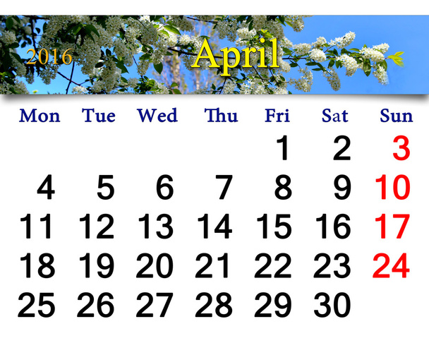 Kalendář na duben roku 2016 s třešní ptačí strom - Fotografie, Obrázek