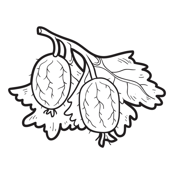 Coloring book: fruits and vegetables (gooseberries) - Vector, afbeelding