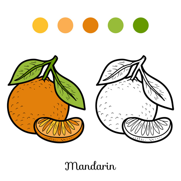 Kifestőkönyv: gyümölcsök és zöldségek (mandarin) - Vektor, kép