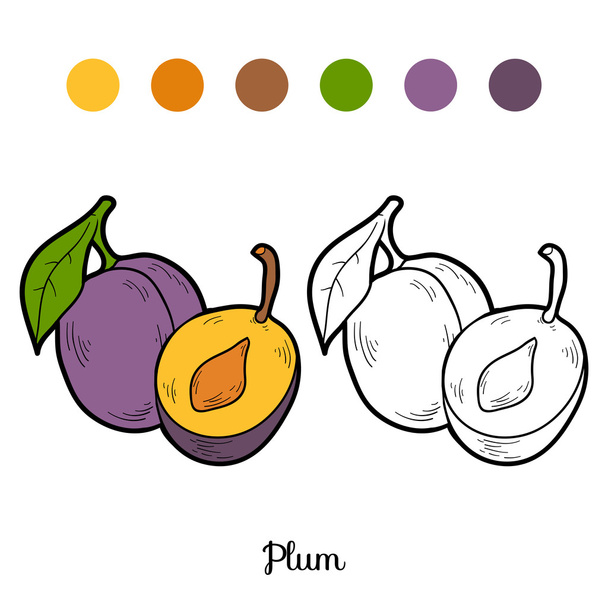 Livre à colorier : fruits et légumes (prune
) - Vecteur, image