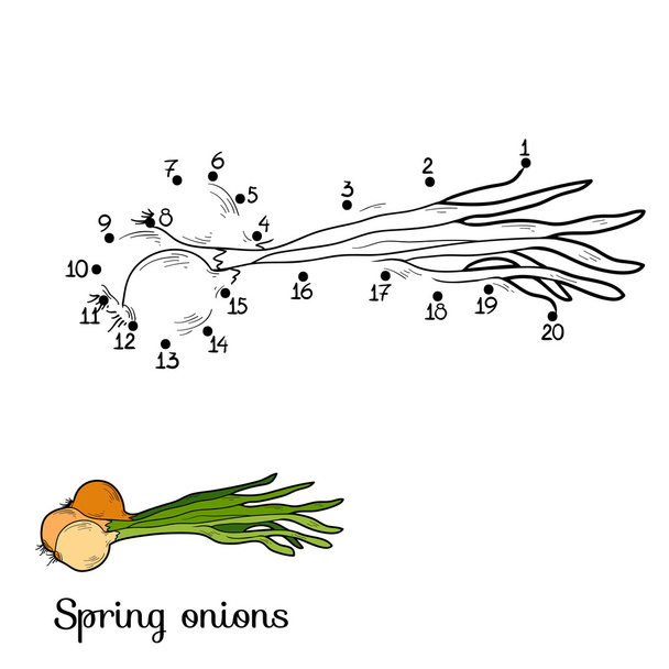 Hra čísel: ovoce a zelenina (jarní cibulky) - Vektor, obrázek