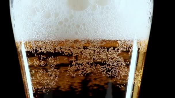グラスにビールを黒い背景は絶縁されている - 映像、動画