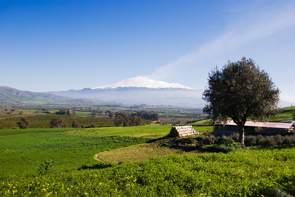 田園風景や雪に覆われた火山エトナ山 - 写真・画像