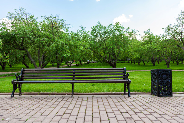 скамейка в парке - Фото, изображение