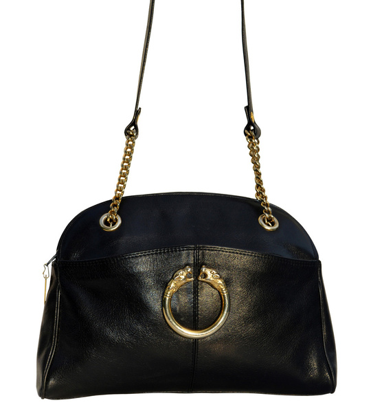 Leather bag - Photo, Image