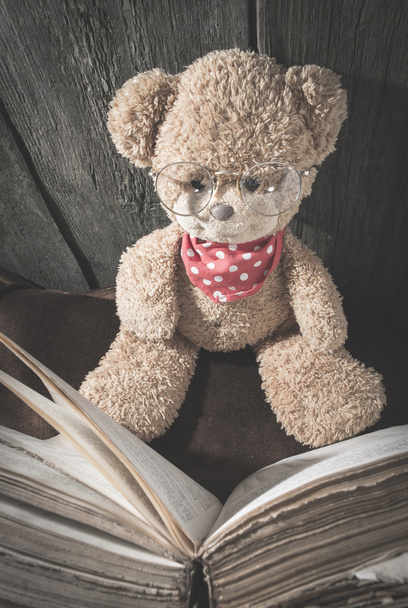 teddy bear with old vintage book - Foto, Imagen