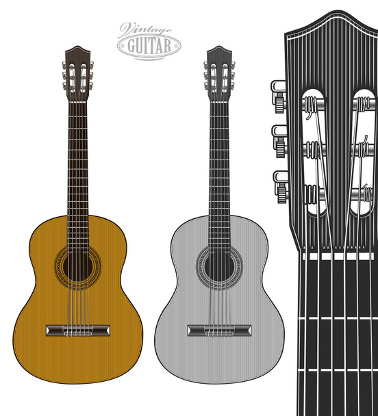 Guitar in engraving style - Vector, afbeelding