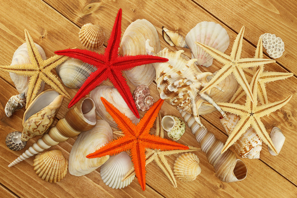 Conchas marinas y estrellas de mar sobre fondo de madera marrón
 - Foto, Imagen