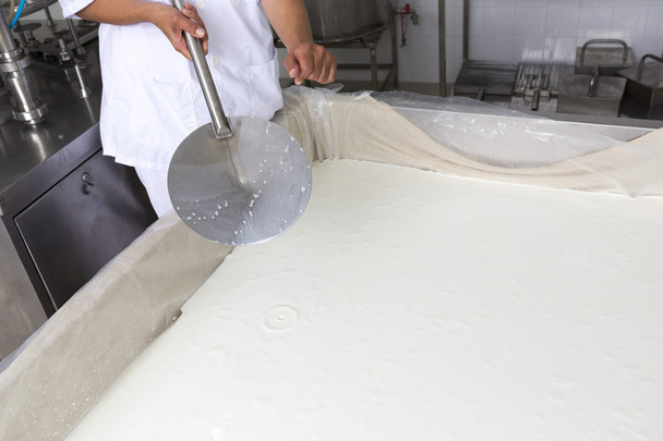 Cheese production creamery dairy worker coagulation - Φωτογραφία, εικόνα