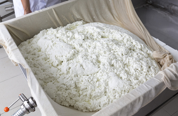 Cheese production buffalo gauze lint - Foto, Bild