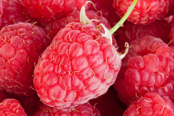 ripe raspberries - Photo, Image