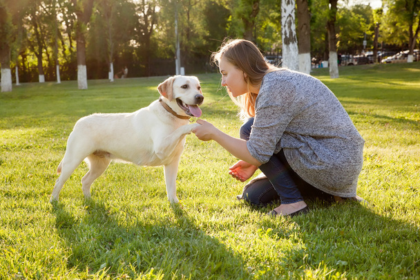 Beautiful woman playing with her dog Labrador retriever. - Zdjęcie, obraz