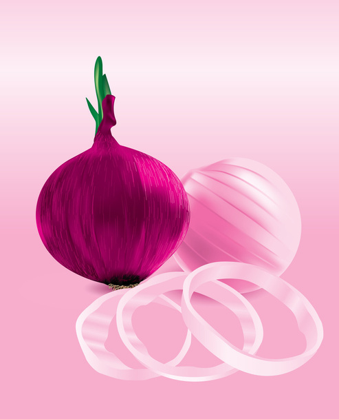 Red onions and chopped onion rings - Vektor, Bild