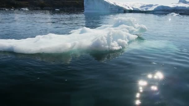Pływająca lodowaty lodowa zamarznięta woda - Materiał filmowy, wideo
