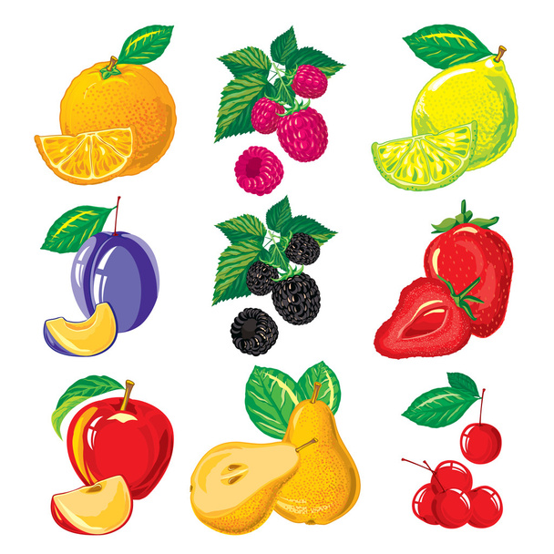 set of ripe fruit and slices of fruit, berries - Vector, Imagen