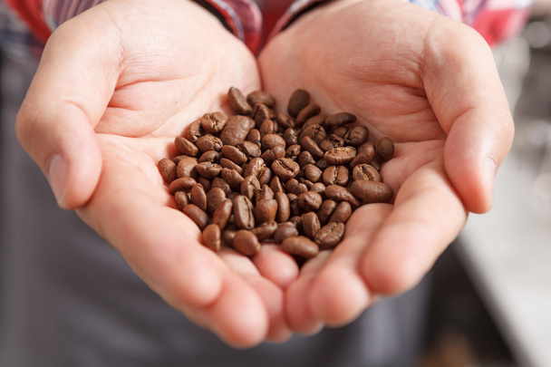 Close-up of person holding coffee beans  - 写真・画像