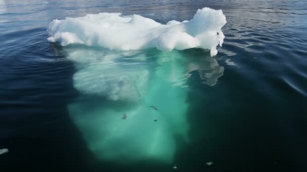 Fios de gelo à deriva da Gronelândia fiorde
 - Filmagem, Vídeo