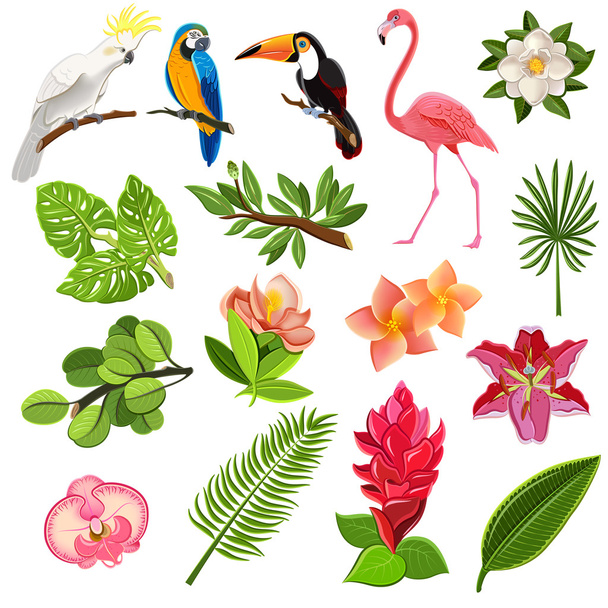 Набор пиктограмм тропических птиц и растений
 - Вектор,изображение