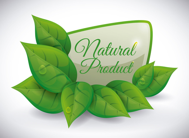 Natural product design. - Vetor, Imagem