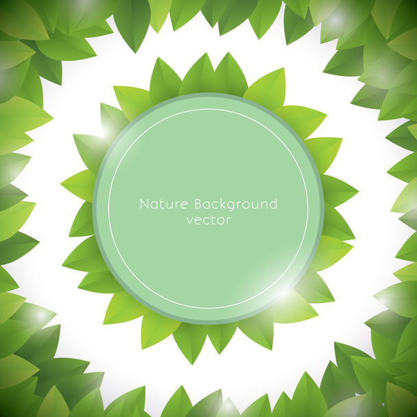 Nature background vector - Vetor, Imagem