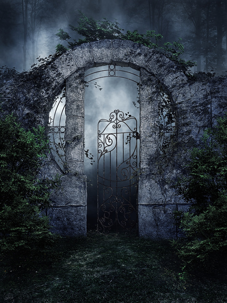 Portão de jardim escuro
 - Foto, Imagem