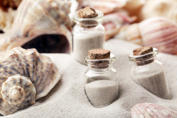 Beautiful seashells on sand background - Фото, зображення