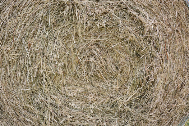 Hay bale jako přírodní pozadí - Fotografie, Obrázek