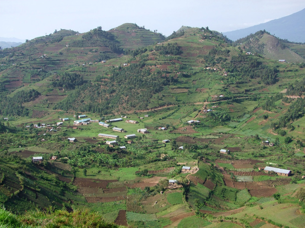εναέρια θέα στα γύρω βουνά virunga στην Ουγκάντα - Φωτογραφία, εικόνα