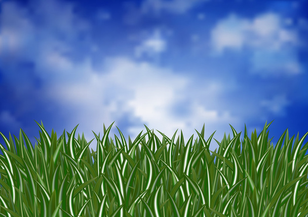 πράσινο γρασίδι και ουρανός - Διάνυσμα, εικόνα