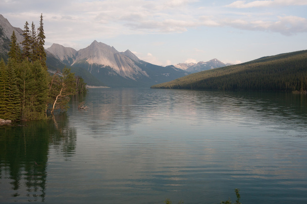 Малинье озеро в национальном парке Джаспер, Альберта, Канада - общ.
  - Фото, изображение