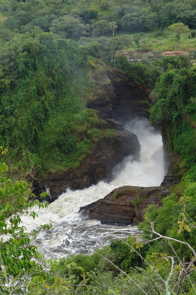 Murchison fällt in Uganda - Foto, Bild
