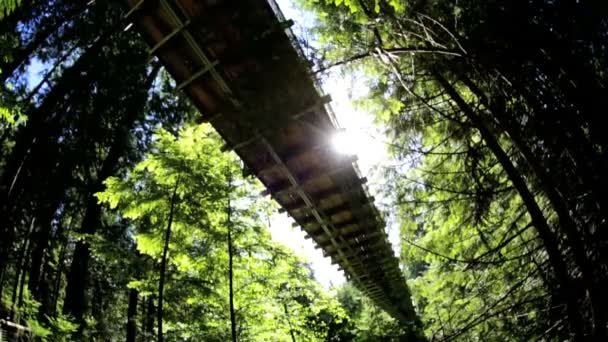 Verhoogde Capilano suspension footbridge wandelpad - Video