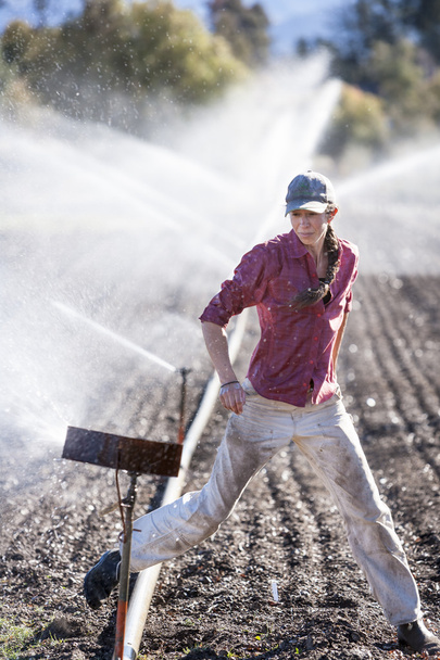Woman setting irragation sprinklers. - Фото, изображение